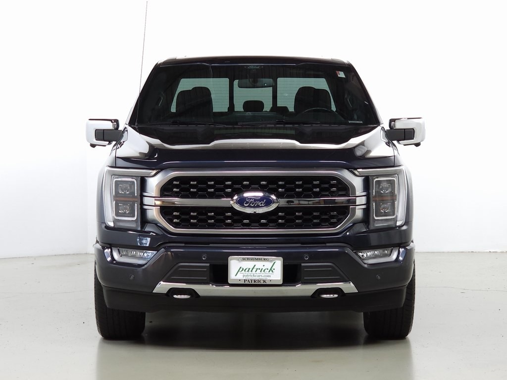 2021 Ford F-150 Platinum 3