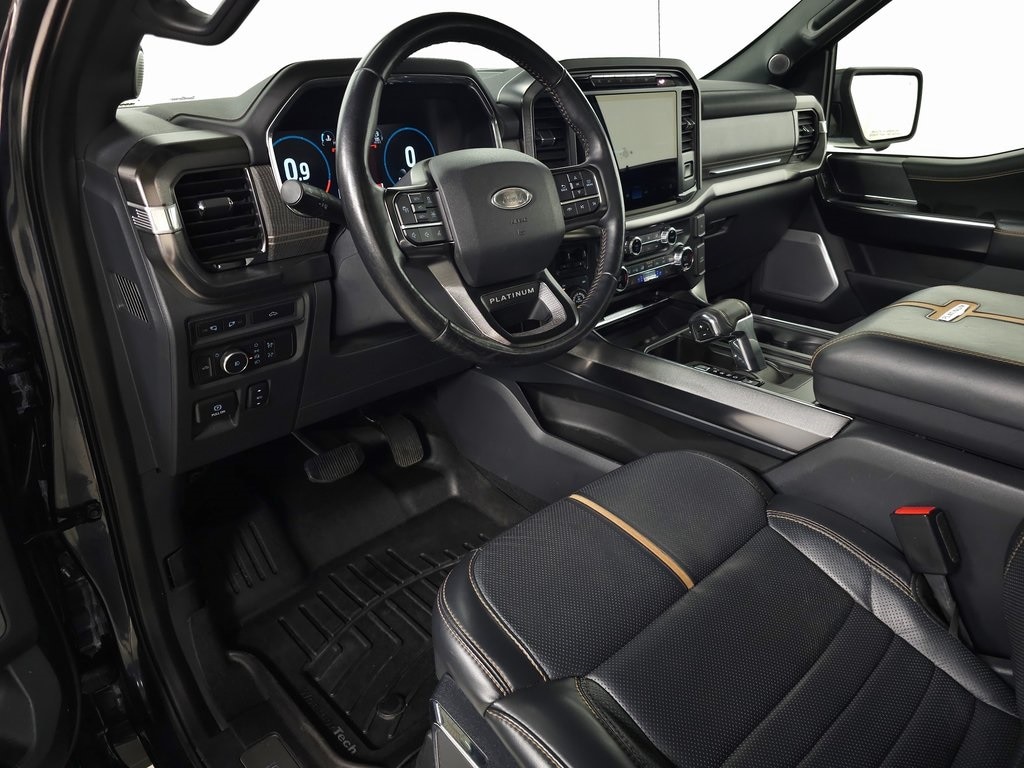 2021 Ford F-150 Platinum 17