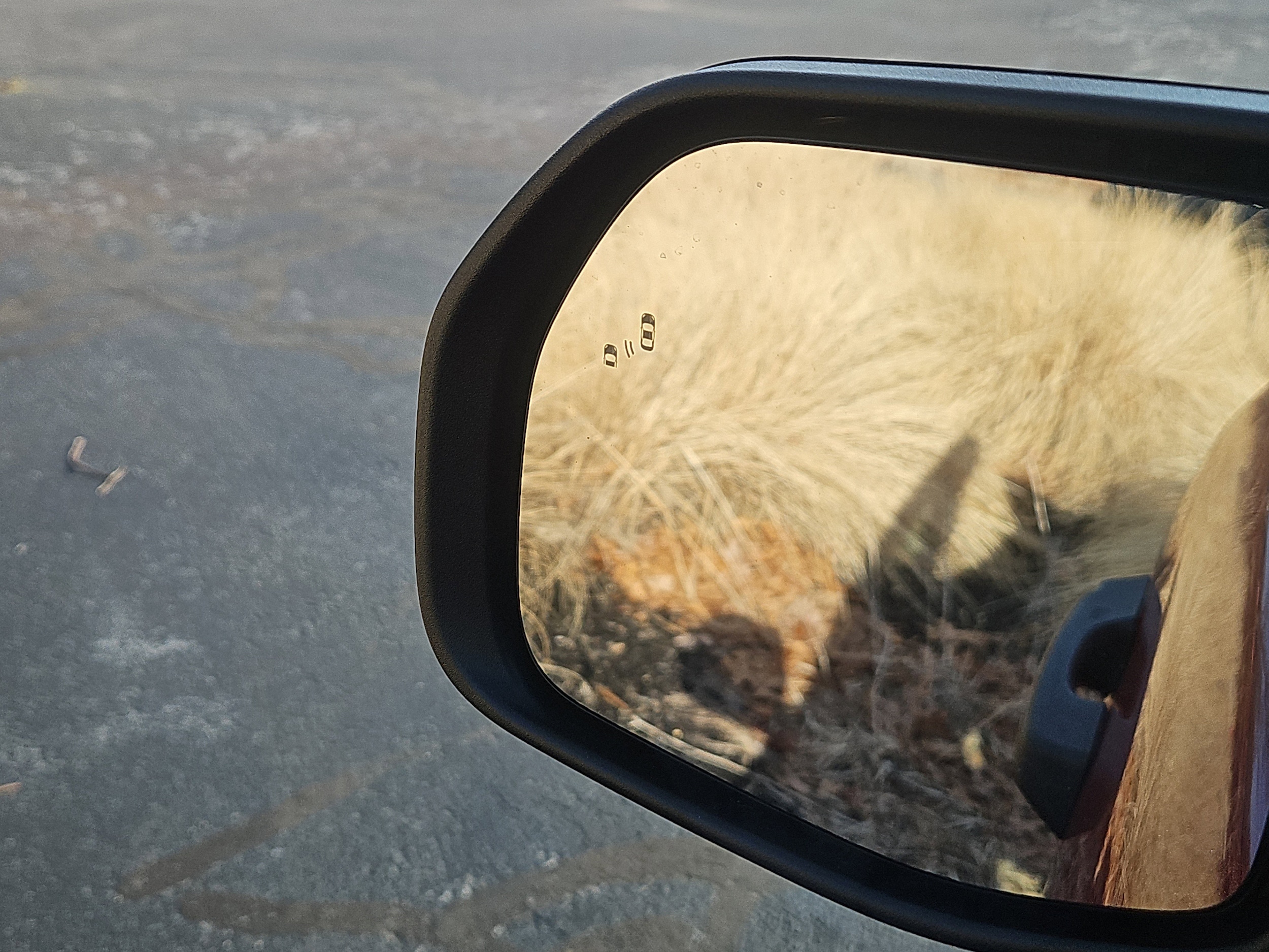 used 2021 Ford Bronco Sport car, priced at $19,990