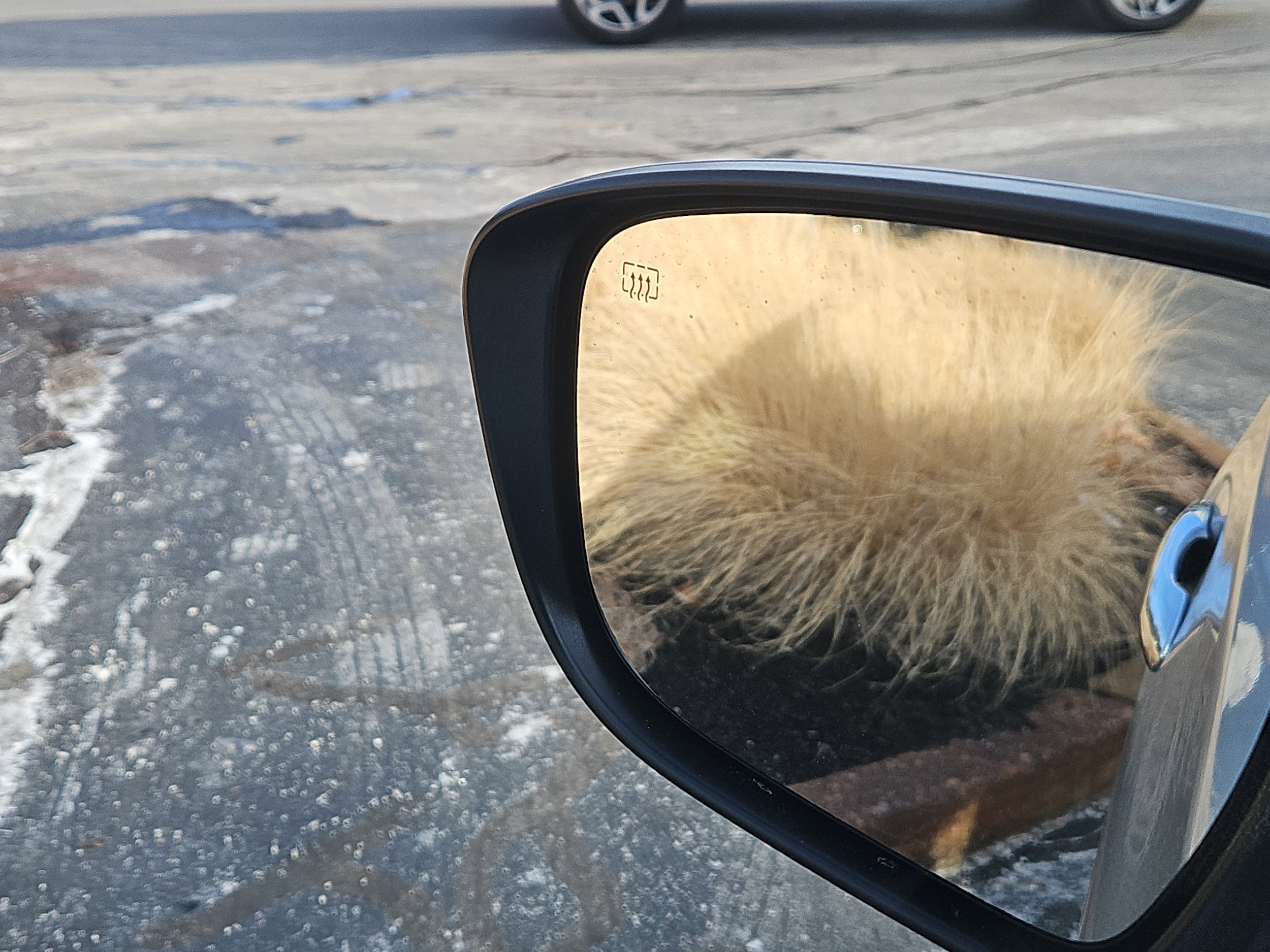 used 2019 Nissan Rogue car, priced at $13,390