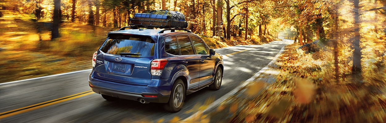 Used Subaru Forester