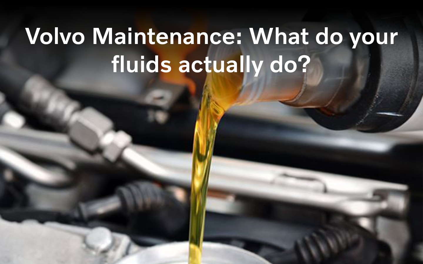 Understanding Volvo fluids and maintenance at Patrick Volvo Cars in Schaumburg, IL