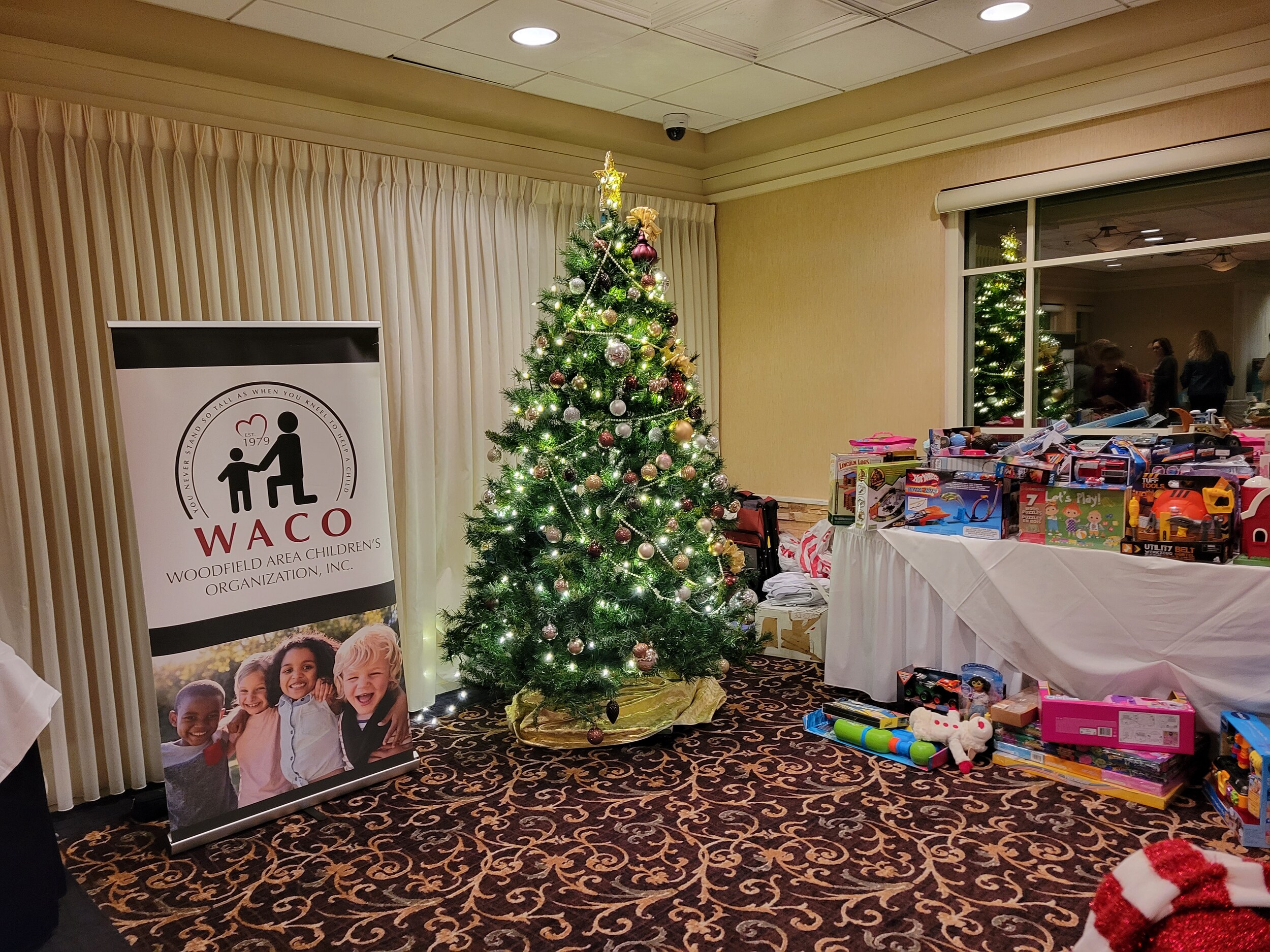 The Woodfield Area Children's Organization