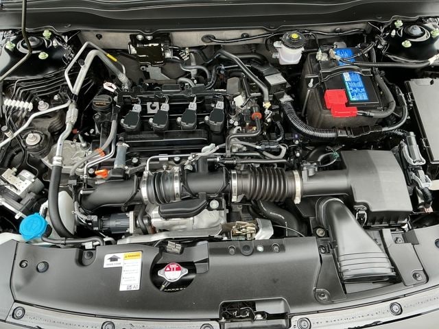 View 25