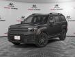 New 2027 Hyundai Santa Fe Hybrid Calligraphy SUV