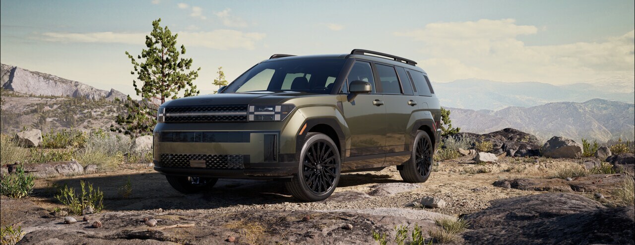 New Hyundai Palisade