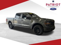 2025 Ford F-150 STX Truck