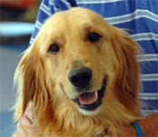 Colby - Customer Relations.jpg