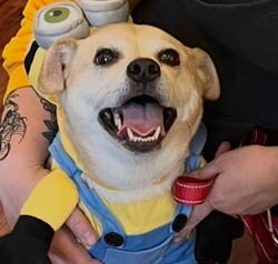 Staff member Mabel from c5d5c2cb6de9