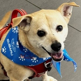 Staff member Mabel from c5d5c2cb6de9