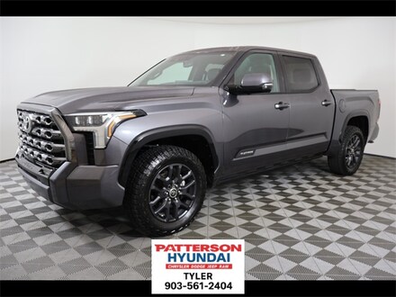 2022 Toyota Tundra Platinum Truck
