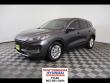Used 2020 Ford Escape SE SUV