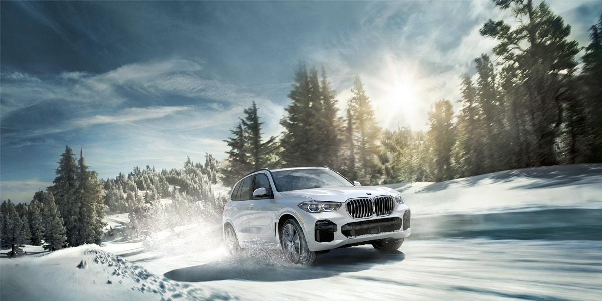 New 2024 Bmw X5 Xdrive40i