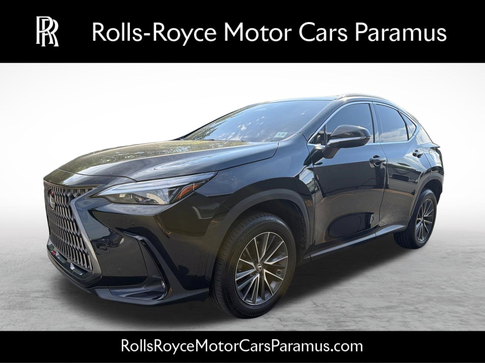 2024 Lexus NX 350 350 Premium AWD's photo