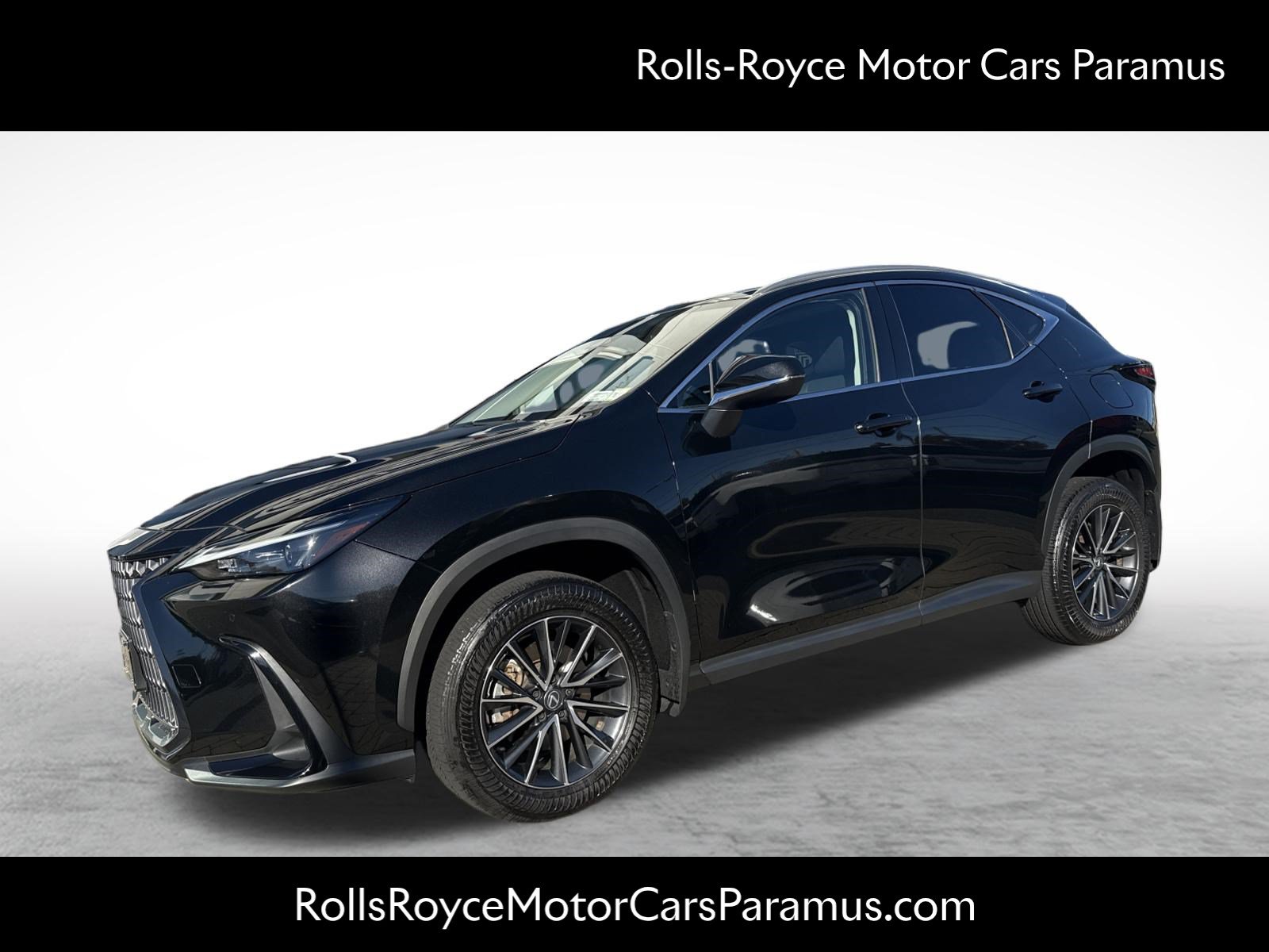 2025 Lexus NX