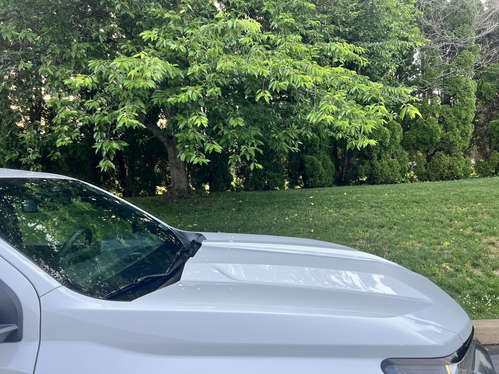 2025 Chevrolet Colorado LT - Photo 66