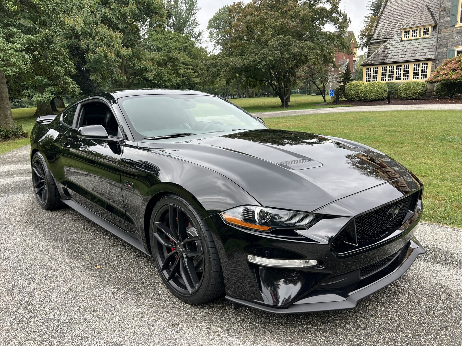 2019 Ford Mustang GT Premium photo 2