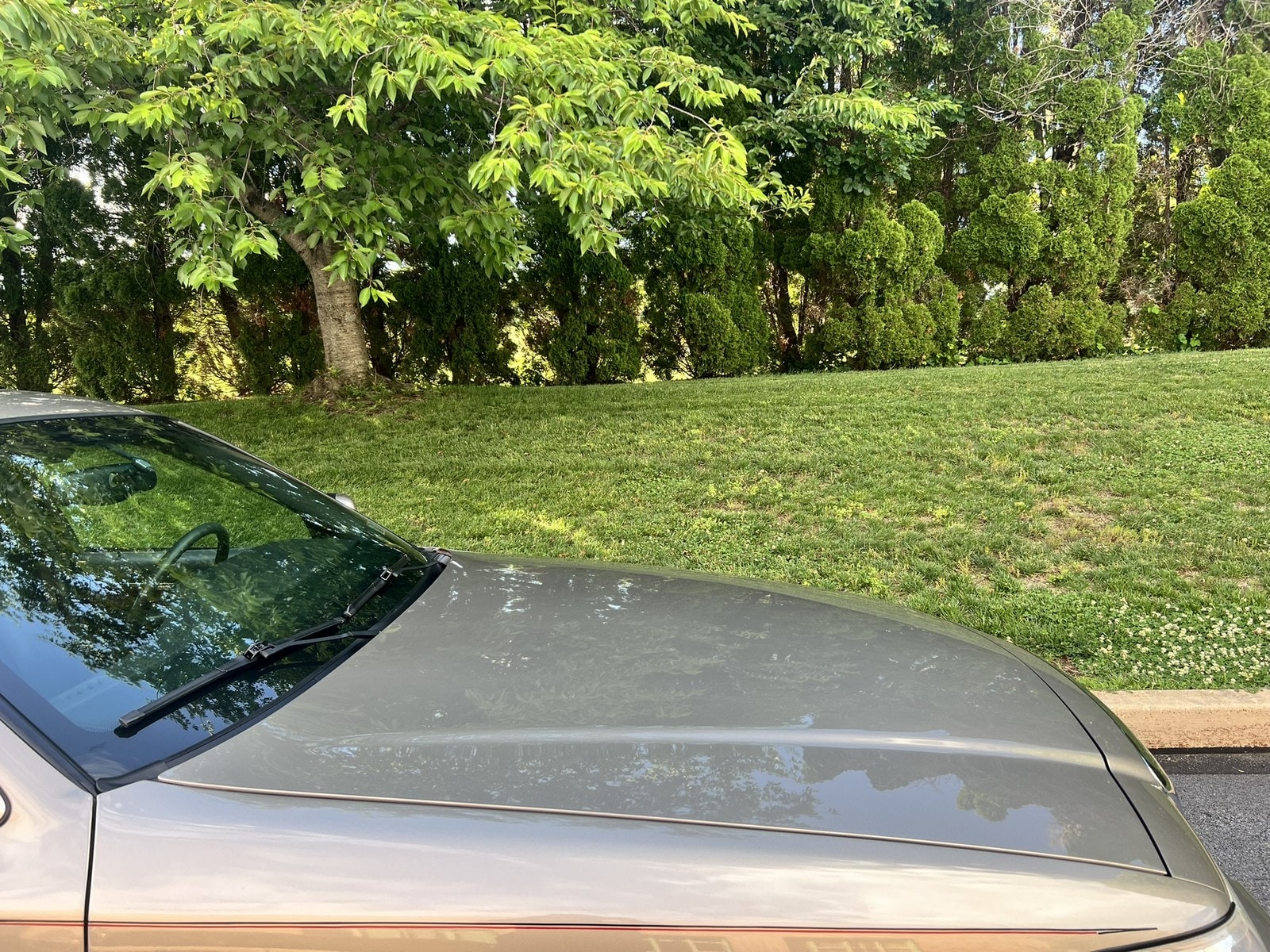 2003 Mercury Grand Marquis LS - Photo 51