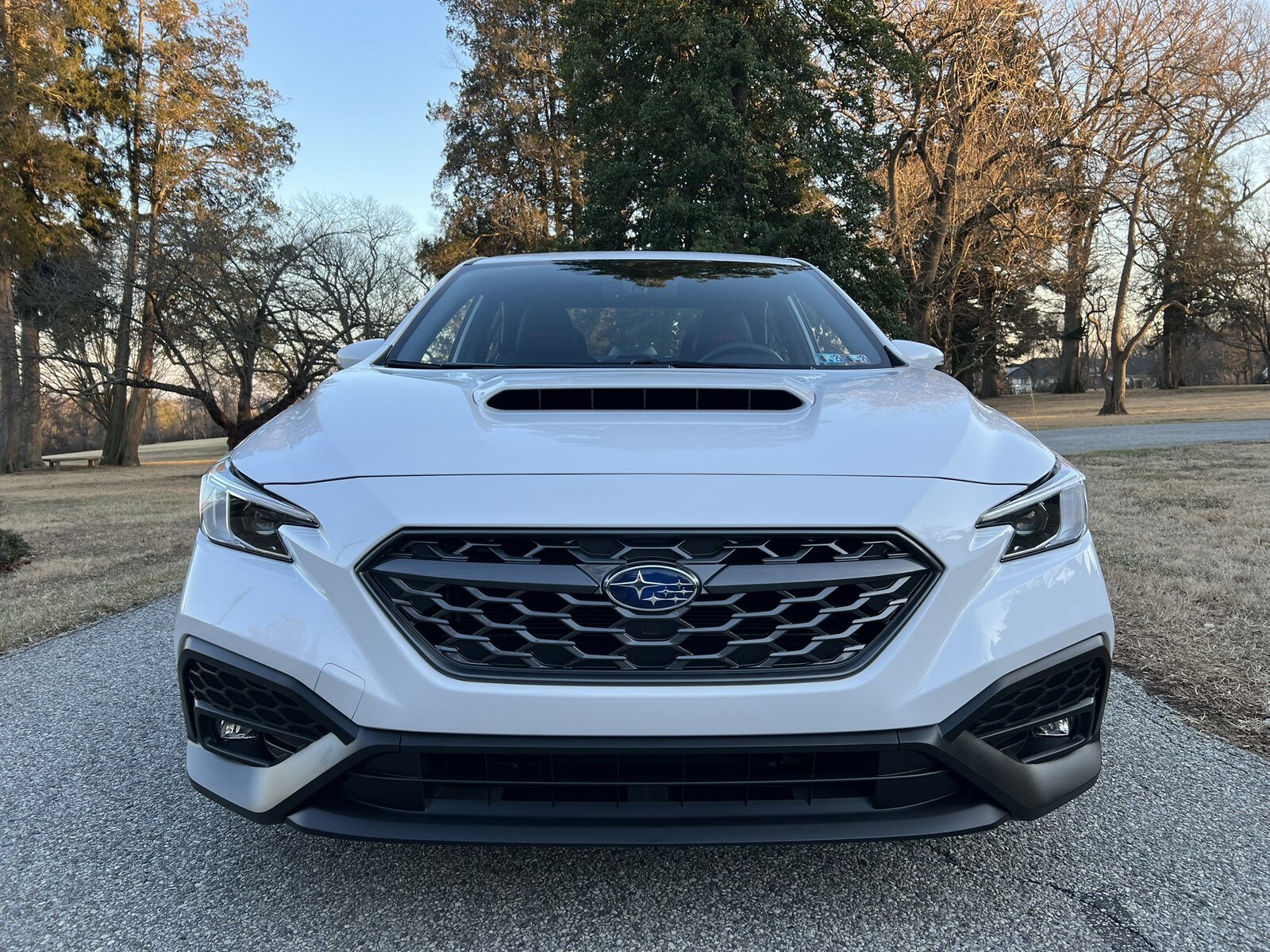2023 Subaru WRX Limited photo 3