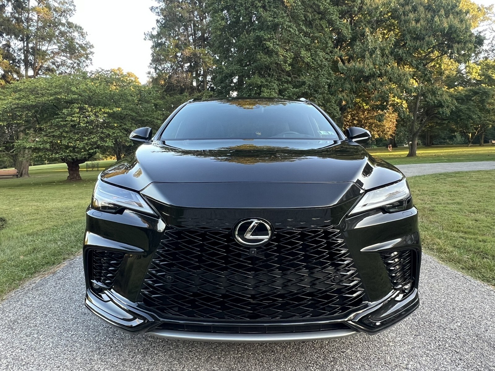 2024 Lexus RX 500h F SPORT Performance AWD photo 3