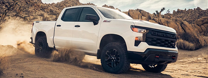 2025 Chevrolet Silverado 1500 LaFayette GA