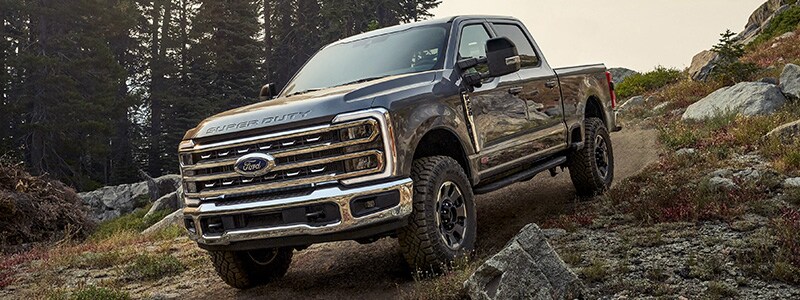 New 2025 Ford Super Duty Waynesboro GA