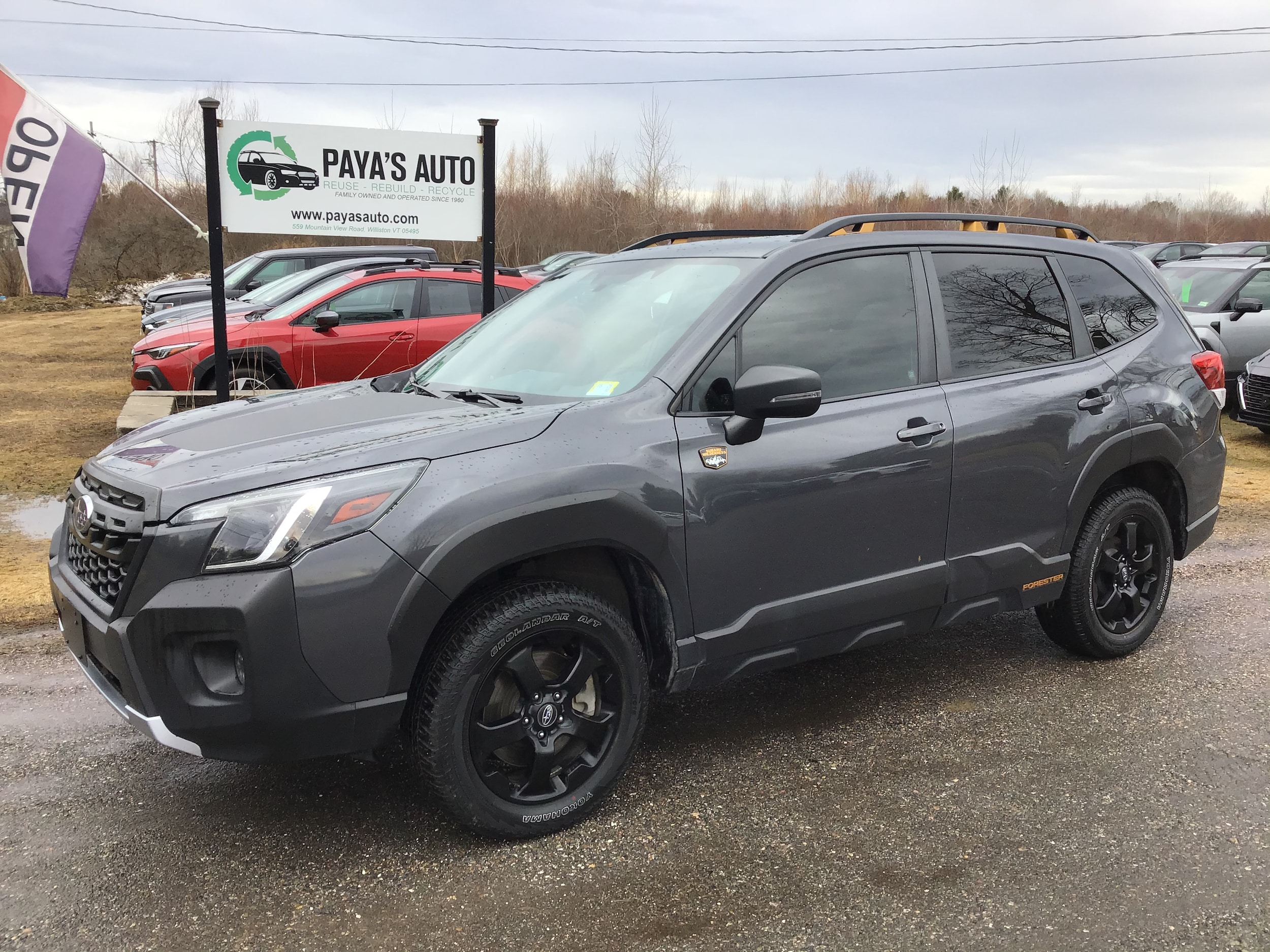 2023 Subaru Forester Wilderness