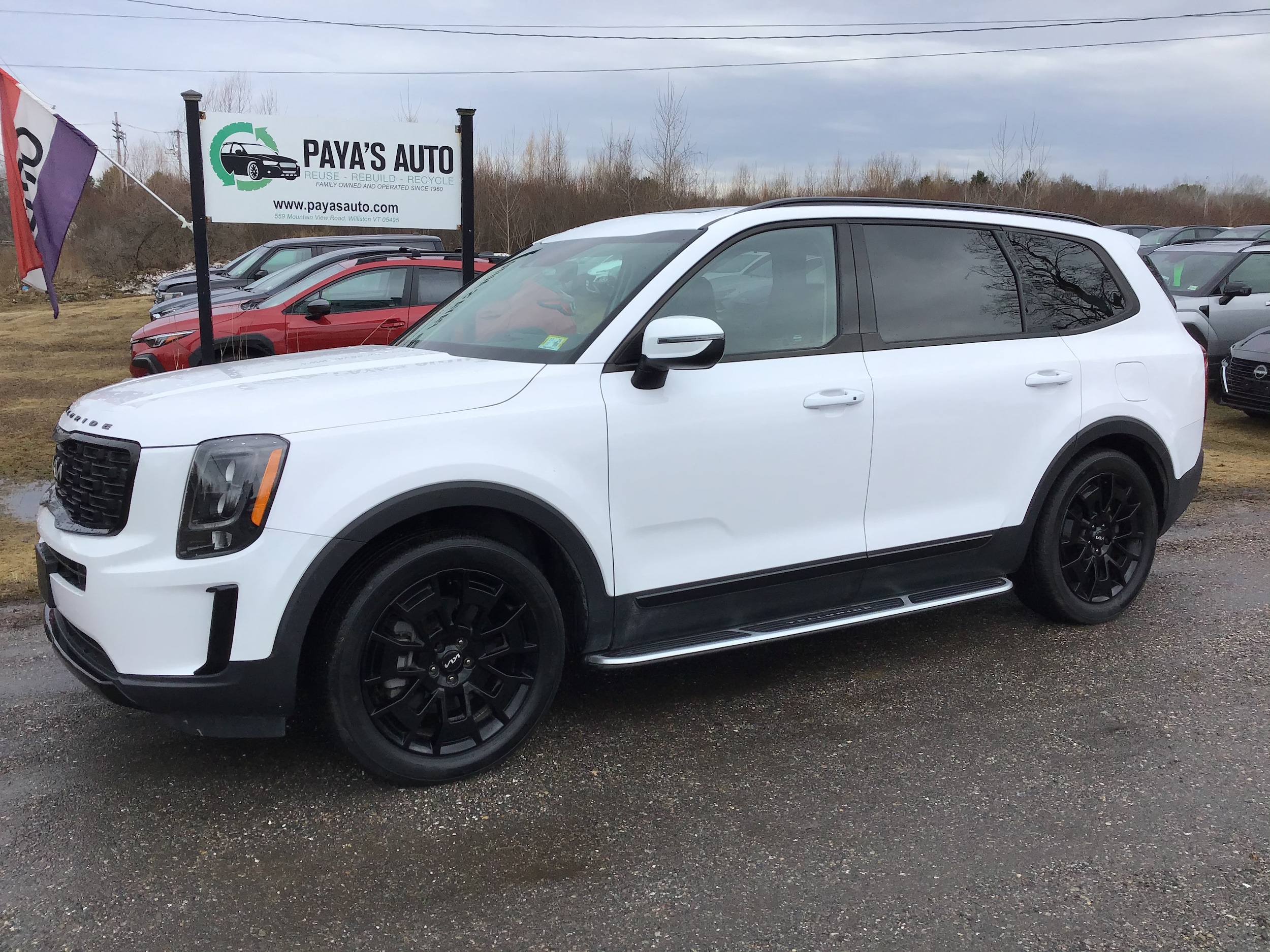 2022 Kia Telluride EX AWD's photo