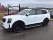  Kia Telluride