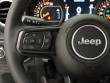 2025 Jeep Gladiator TEXAS TRAIL 4X4 Pickup