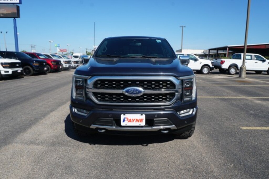 Used 2021 Ford F-150 Platinum Pickup Truck