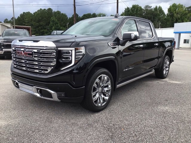 2025 Gmc Sierra 1500 Denali photo 2