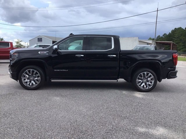 2025 Gmc Sierra 1500 Denali photo 3