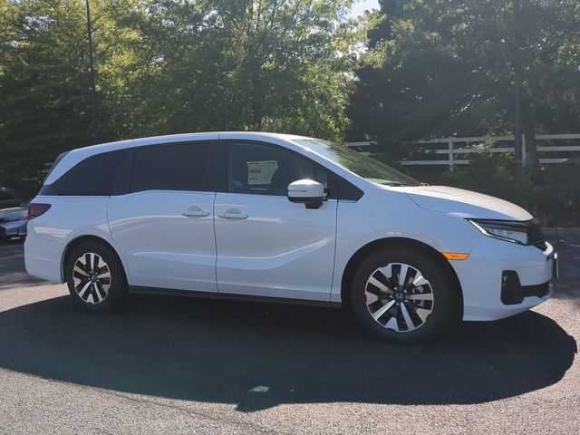 2026 Honda Odyssey EX-L's photo