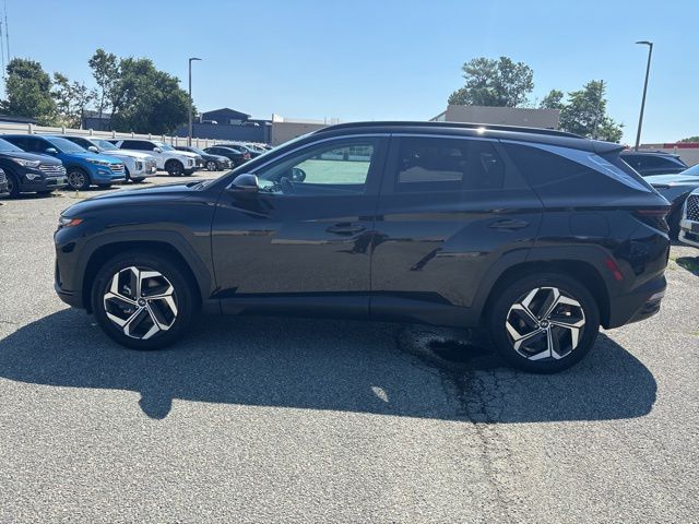 2024 Hyundai Tucson SEL AWD's photo