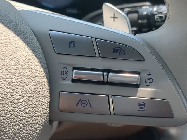 2025 Hyundai Palisade Calligraphy - Photo 26