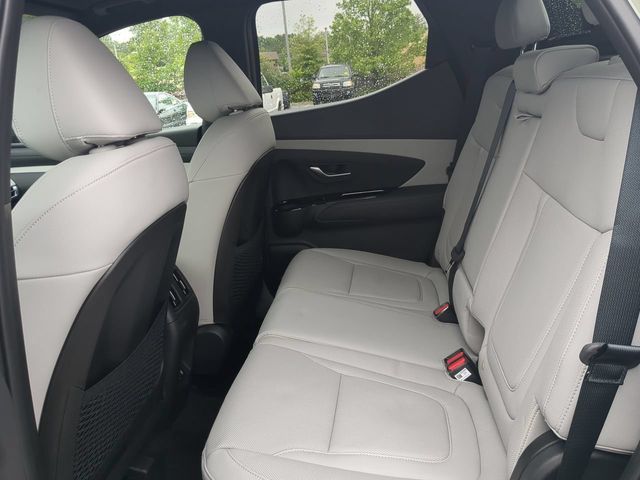 2025 Hyundai Santa Cruz Limited - Photo 12