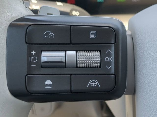 2026 Hyundai Palisade Calligraphy - Photo 24