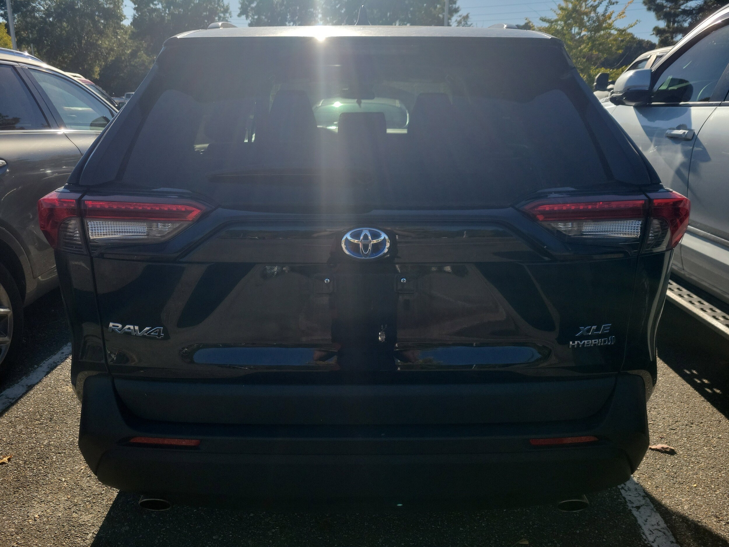 2024 Toyota RAV4 Hybrid XLE photo 3