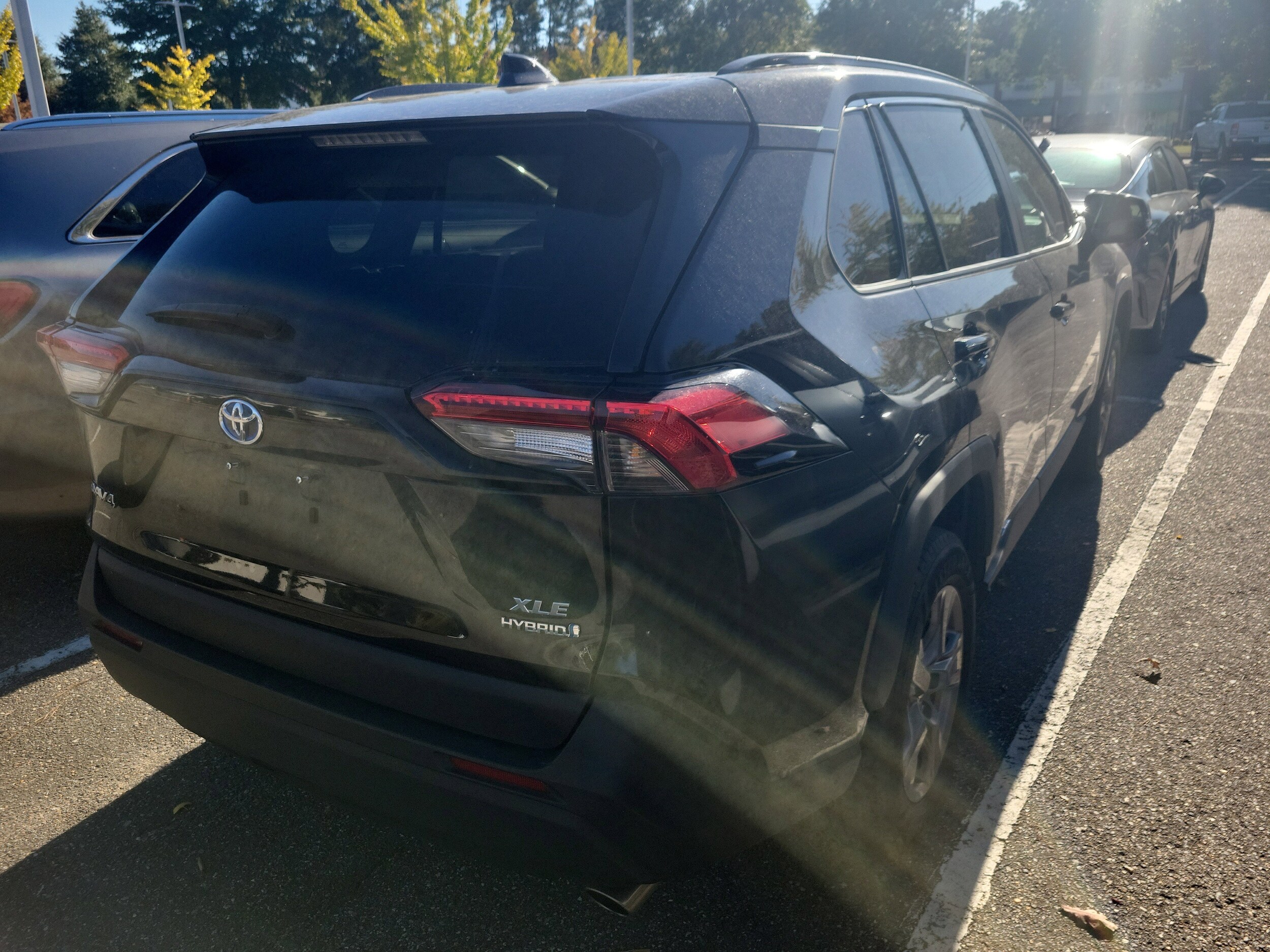 2024 Toyota RAV4 Hybrid XLE photo 2