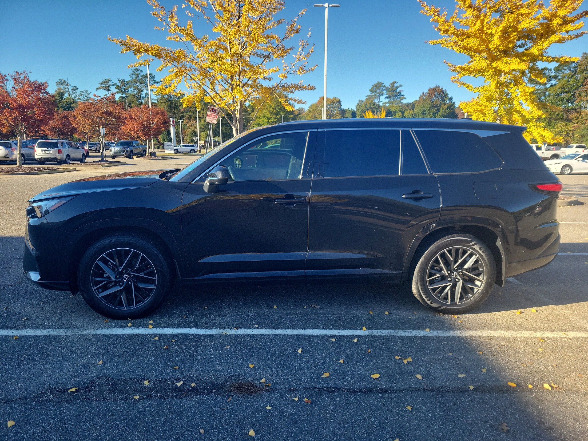 2024 Lexus TX 350 photo 2