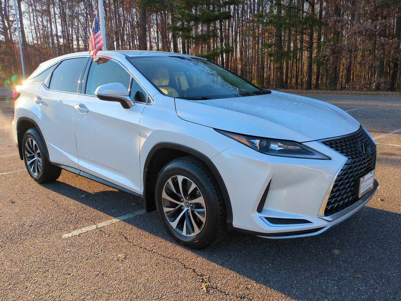 2022 Lexus RX 350's photo