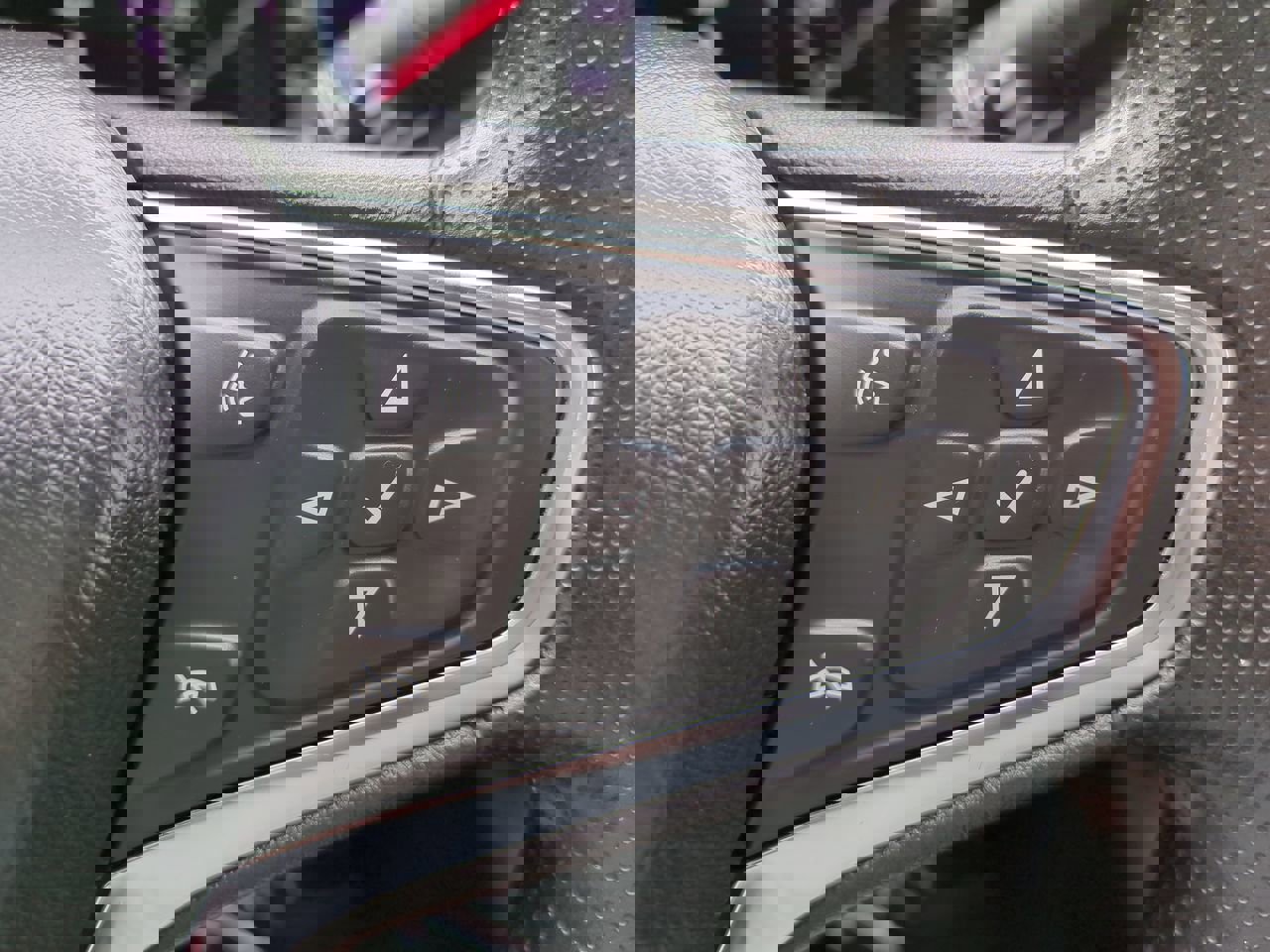 View 25