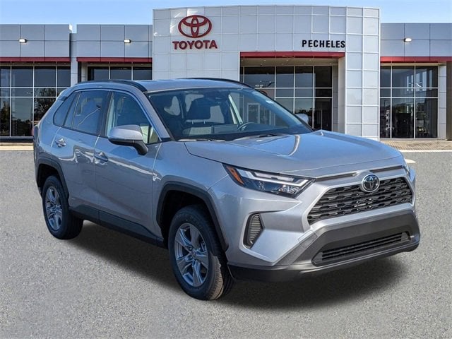 2025 Toyota RAV4 XLE's photo