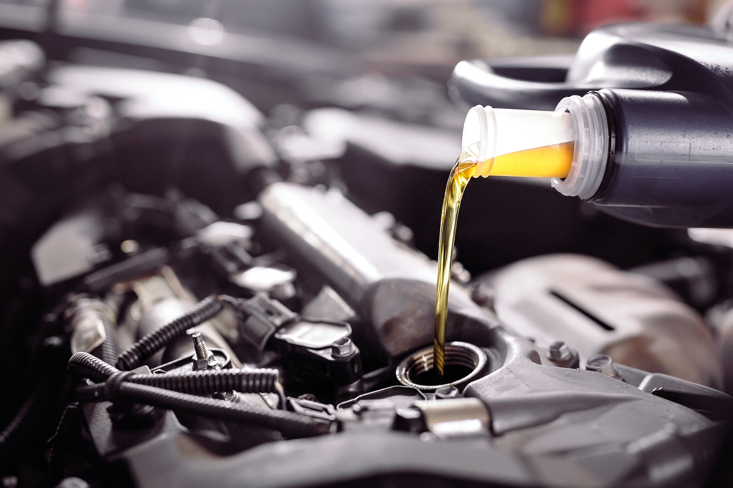 Oil Change Fort Collins CO