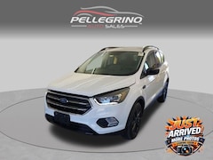2019 Ford Escape SE SUV