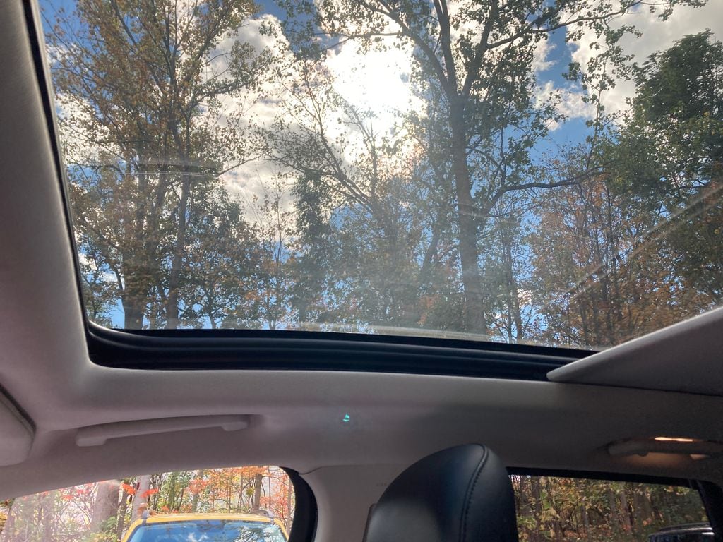 View 29