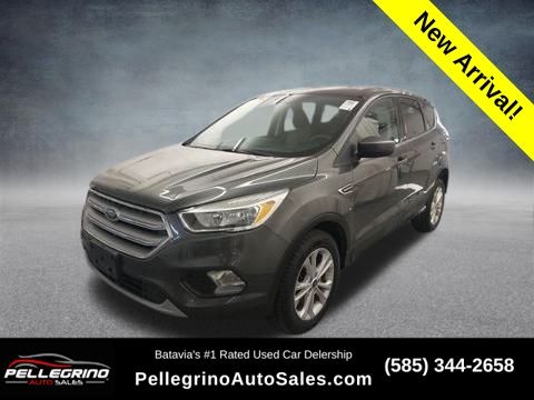 2019 Ford Escape SE's photo