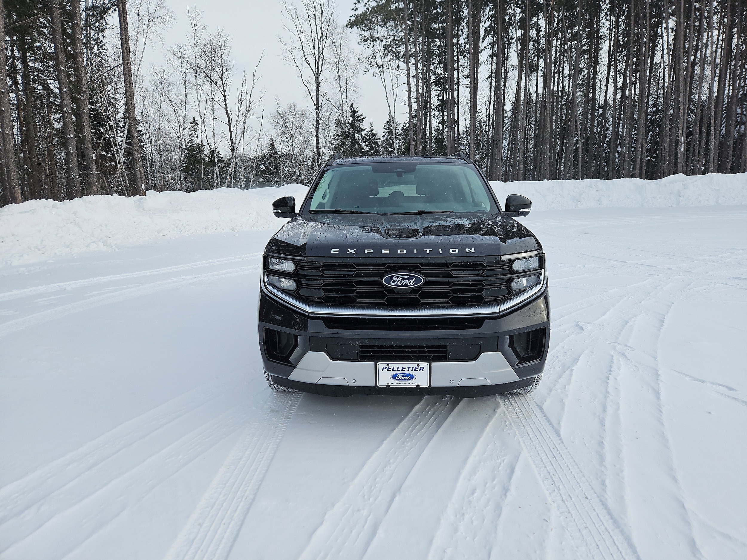2026 Ford Expedition MAX Platinum - Photo 9
