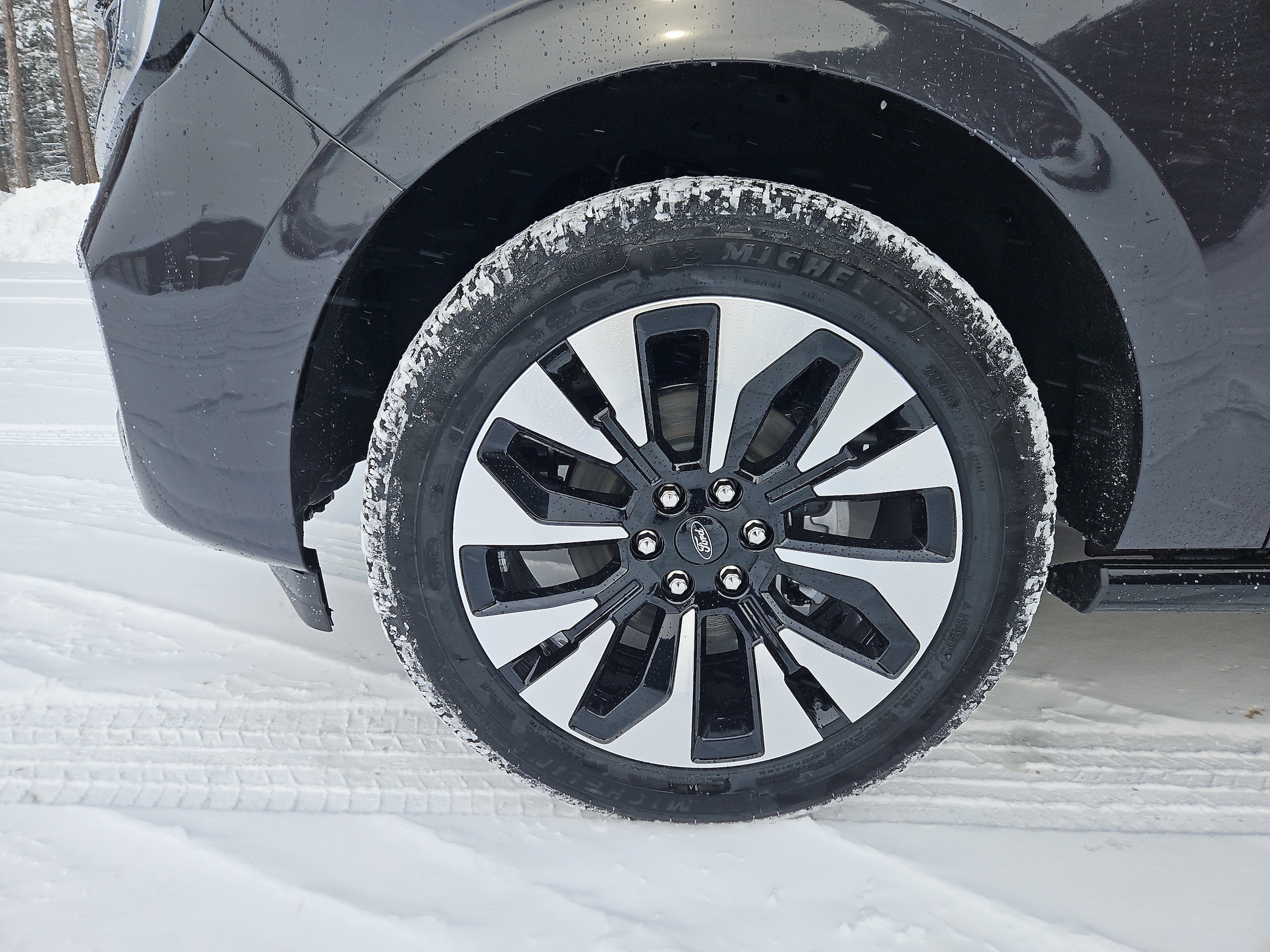 2026 Ford Expedition MAX Platinum - Photo 10